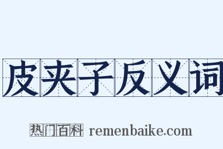 皮夹子反义词是什么意思的图片